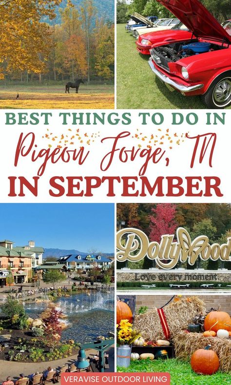 Best Things To Do In Pigeon Forge In September The Island Pigeon Forge, Pigeon Forge Restaurants, Pigeon Forge Vacation, Pigeon Forge Cabins, Pigeon Forge Tn, Fall Things, Gatlinburg Tennessee, Welcome Fall, Harvest Festival