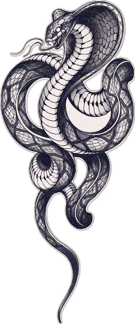 Cobra Tattoo Back, Cobra Sleeve Tattoo, King Cobra Tattoo Design, Cobra Tattoo Design, King Cobra Drawing, King Cobra Snake Tattoo, King Cobra Tattoo, King Cobra Snake, Cobra Tattoo