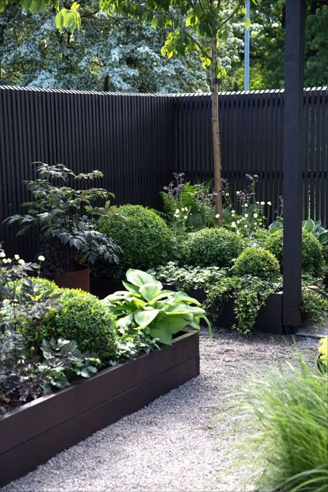 Lots Of Plants, Black Fence, Black Garden, The Secret Garden, Garden Show, Garden Pictures, Garden Bed, Garden Fencing, Courtyard Garden