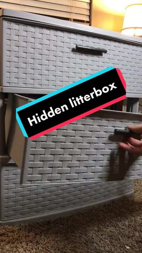 Hide Cat Box Ideas, Hidden Litter Boxes Diy, Cat Box Hide, Diy Litter Box Cover, Hidden Cat Litter Box Ideas, Box Room Ideas, Cat Litter Box Diy, Cat Litter Box Ideas, Litter Box Ideas