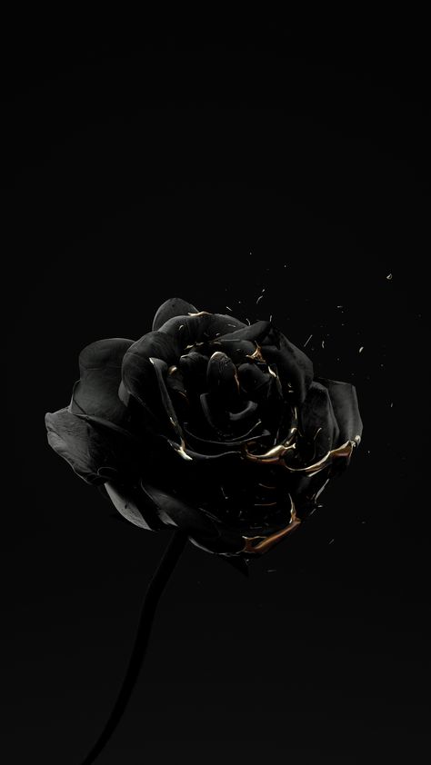 Roses Are Dead – Vol. 4 “Black and Gold” on Behance Black And Gold Aesthetic, Black And White Photo Wall, Black And White Picture Wall, Cute Black Wallpaper, Black Phone Wallpaper, Dark Phone Wallpapers, Gold Aesthetic, Black Wallpaper Iphone, Iphone Wallpaper Tumblr Aesthetic