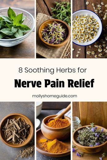 Discover the best natural remedies for nerve pain relief with these powerful herbs and essential oils. Whether you're seeking relief from neuropathy or general nerve pain, these pain-relieving herbs have got you covered. Explore the soothing benefits of herbal remedies and essential oils to help alleviate nerve discomfort naturally. Incorporate these natural alternatives into your wellness routine for effective relief from nerve-related issues. Say goodbye to discomfort and hello to a more comfo Holistic Nerve Healing, Herbs To Calm Nerves, Essential Oils For Vagus Nerve, Herbs For Nerve Damage, Essential Oils For Nerve Pain Relief, Tooth Nerve Pain Relief, Nerve Damage Remedies, Herbs For Nerve Pain, Nerve Pain Essential Oils