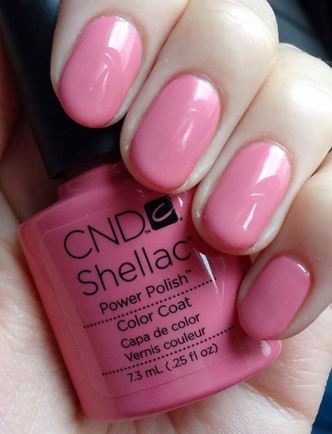 Image result for rose bud shellac Nails Shallec, Shellac Nail Polish Colors, Shellac Colours, Bud Wedding, Pink Shellac, Cnd Shellac Colors, Manicure Shellac, Summer Nails Neon, Shellac Nail Colors