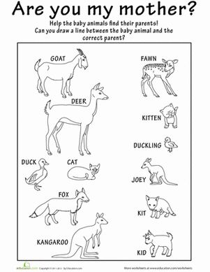 images of names of animal parents and their babies | First Grade Life Science Worksheets: Baby Animals Names Kangaroo Kids, Animal Writing, Animal Crafts Preschool, Farm Animals Preschool, Mother And Baby Animals, Baby Animal Names, Are You My Mother, Animal Lessons, Preschool Art Projects