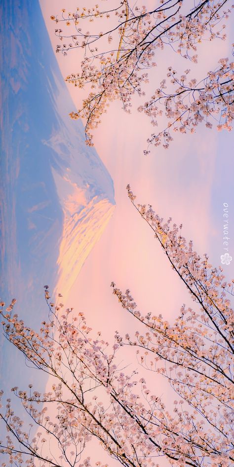 Aesthetic Desktop Wallpaper, Backgrounds Phone Wallpapers, Beautiful Landscape Wallpaper, Aesthetic Pastel Wallpaper, Pastel Wallpaper, Kawaii Wallpaper, Anime Scenery Wallpaper, Shades Of Pink, Landscape Wallpaper