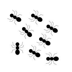 Counting Activities Kindergarten, Ants Go Marching, Ants Activities, Insect Clipart, Ant Art, Black Ants, Insects Theme, Activities Ideas, Clip Art Pictures