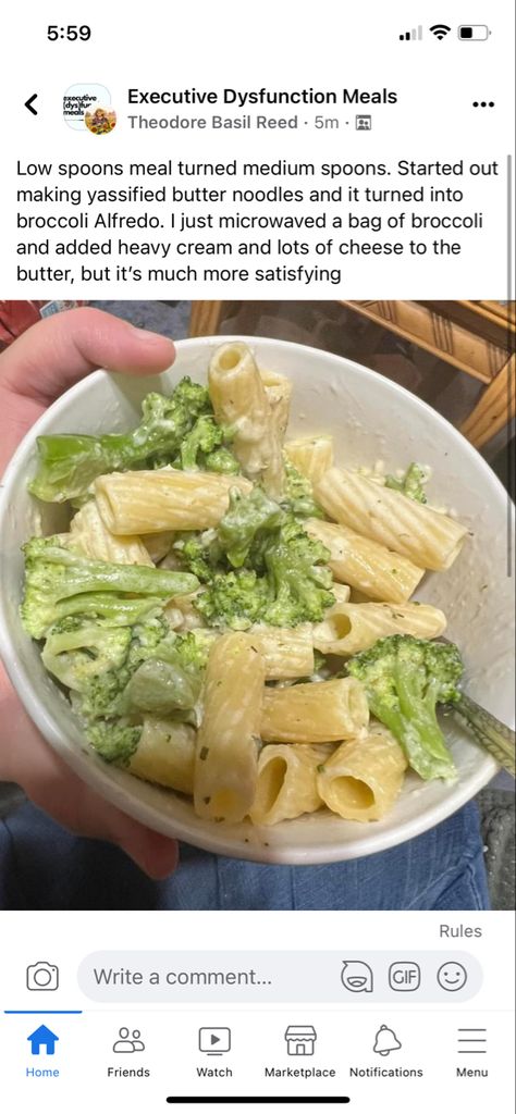 Low Spoons Meals, Low Spoon Meals, Executive Dysfunction Meals, Executive Dysfunction, Broccoli Alfredo, Buttered Noodles, Dried Herbs, Drying Herbs, Heavy Cream