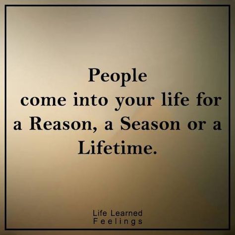 People Come Into Our Life for 3 Reasons – Fresh Mind Story Lifetime Quotes, Season Quotes, Say Word, Words Of Wisdom Quotes, Time To Move On, Great Words, For A Reason, Good Thoughts, Need You