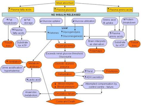 Lower Creatinine Levels, Nursing Pictures, Creatinine Levels, Model Architecture, Student Info, Health Medicine, Concept Map, Medical Coding, Nursing Tips