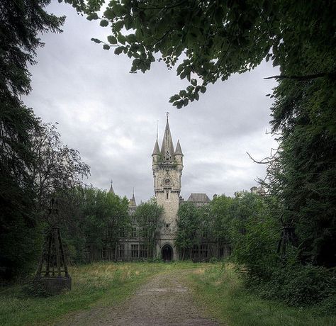 fairy-tale castle Castle In Forest, Castle In The Woods, Toy Box Ideas, 10th Kingdom, The 10th Kingdom, Fairy Tale Castle, Forest Cottage, Lost In The Woods, Location Inspiration