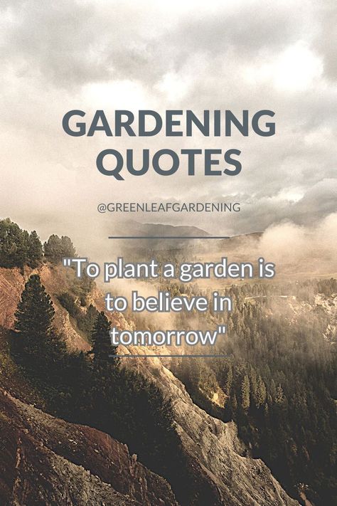 Quotes about gardening inspiration life | Inspirational wise words | Green Leaf Gardening | Garden Design | Gardening Aesthetics. If you want to known or learn about gardening so visit the link in bio.

#gardeningquotes #gardening #nature #gardenlife #gardensofinstagram #gardener #gardenlover Quotes About Gardening, Gardening Quotes, Gardening Inspiration, Garden Quotes, Quote Board, Green Leaf, Green Living, Nature Beauty, Garden Inspiration