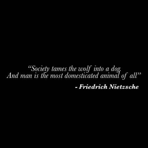 Nietzsche Quotes Philosophy, Nihilism Quote, Friedrich Nietzsche Quotes, Philosophical Quotes About Life, Nietzsche Quotes, Bob Marley Quotes, Great Philosophers, Alone Photography, Philosophical Quotes