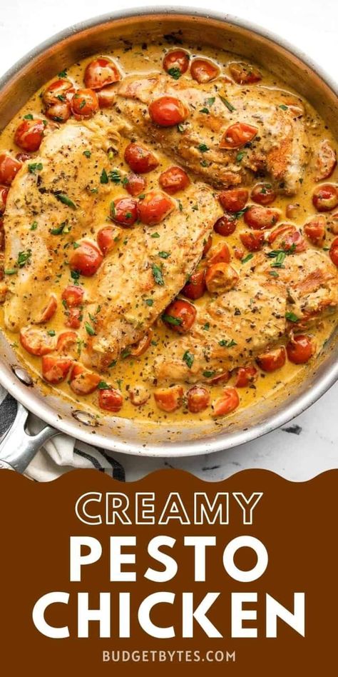 Creamy Pesto Chicken, Chicken Pesto Recipes, Creamy Pesto, Easy Camping, Health Dinner Recipes, Pesto Recipe, Fall Dinner, Pesto Chicken, Chicken Dishes Recipes