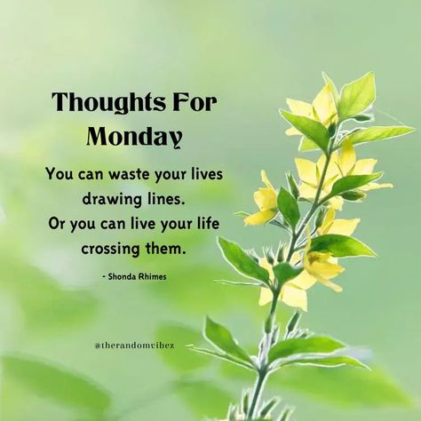 Short Week Quotes, Monday Morning Quotes Inspiration Positivity, Monday Morning Quotes Inspiration, Monday Motivation Positive Thoughts, New Week Quotes, Motivation Positive Thoughts, Monday Morning Quotes, Week Quotes, Cool Vibes