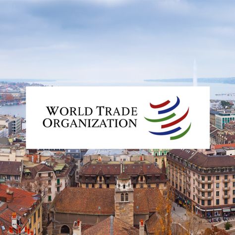 Paid Internship At The World Trade Organization In Geneva Letter Of Motivation, Paid Internship, Internship Tips, World Trade Organization, Summer Internship, Online Application, 2025 Vision, World Trade, Geneva