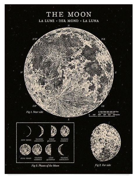 Vintage Astronomy Prints, Grunge Posters, 달력 디자인, Picture Collage Wall, Wallpaper Vintage, Photo Wall Collage, Vintage Poster Art, Art Collage Wall, Picture Collage