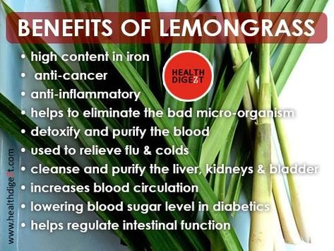 Lemon Grass Benefits, Lemongrass Benefits, Lemon Grass Tea, Poke Root, Lemongrass Tea, Dental Center, Tea Benefits, Tea Recipe, Healing Food