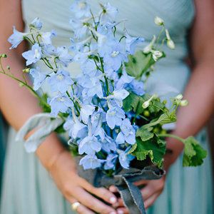 Blue bells bunches Diy Fall Wedding Bouquets, Woodland Wedding Bouquet, Fall Wedding Bouquets Burgundy, Calla Lily Bouquet Wedding, Wedding Flower Guide, Blue Bell Flowers, Red Bouquet Wedding, Winter Wedding Bouquet, Blue Delphinium