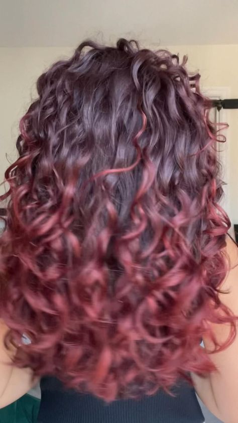 Summer Vibes: Transform Your Look with a Taper Mullet Rainbow Burgundy Curly Hair, Red Hair Ideas, Ombre Curly Hair, Maroon Hair, Cherry Red Hair, Dark Curly Hair, Dyed Curly Hair, Natural Curly Hair Cuts, Curly Hair Care Routine