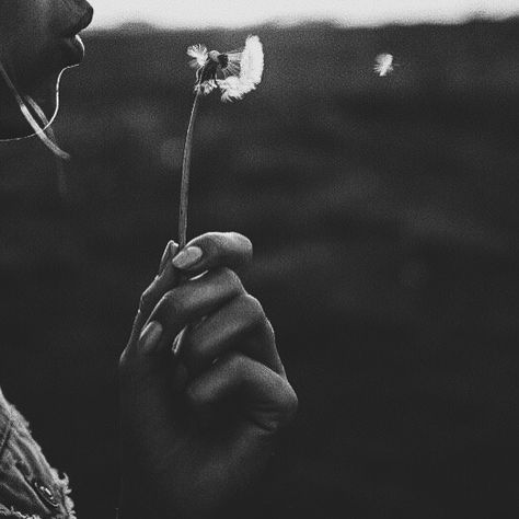 Hand Holding Dandelion, Holding Dandelion, Fashion Photography Black And White, Skin Photography, Black And White Photography Portraits, Blowing Dandelion, Black And White Girl, Fashion Model Poses, Photography Black And White