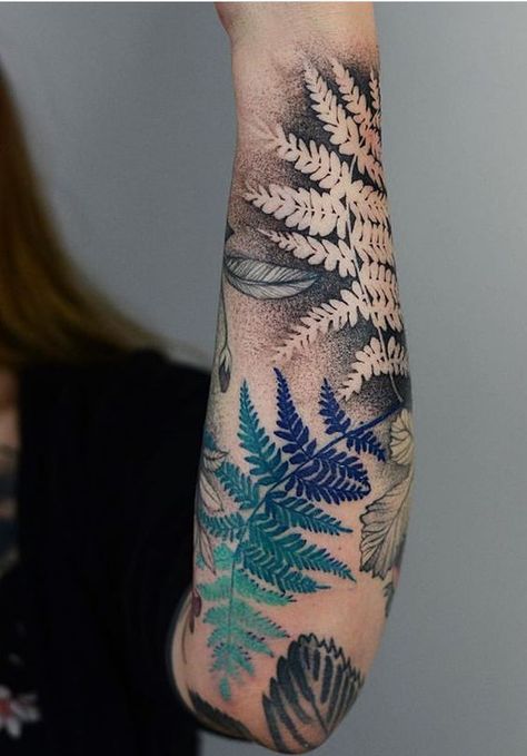 Succulent Back Tattoo, Joanna Swirska Tattoos, Fern Tattoo Sleeve, Ferns Tattoo, Fern Tattoo Design, Dzo Lama, Fern Art, Fern Tattoo, Marvel Tattoos