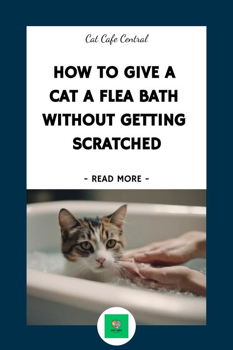 😻🚿 Keep your kitty clean and scratch-free with these tips for giving a flea bath without the scratches! #catlovers #fleatreatment #scratchfree Cat Bathing Tips, Fleas Remedies For House Cat, How To Bathe A Cat, Flea Bath For Cats, Flea Remedies For Cats, Natural Flea Remedies, Dangerous Cat, Home Remedies For Fleas, Flea Remedies