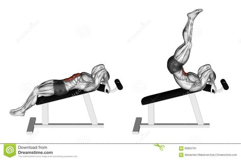 Exercising. Decline Reverse Crunch Stock Illustration - Image: 66802781 Get A Six Pack, Ab Workout Plan, Perfect Abs, Power Training, Reverse Crunches, Best Abs, Six Packs, Gym Workout Tips, Dumbbell Workout