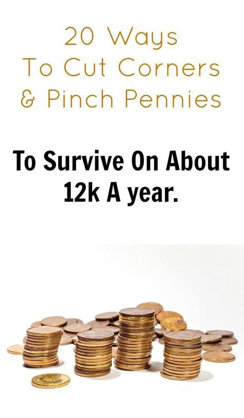 12k a year income - how to pinch pennies and cut corners to live below the poverty line. Friends Worksheet, Managing Money, Penny Pinching, Debt Freedom, Living On A Budget, Family Finance, Extreme Couponing, Money Saving Challenge, Frugal Tips