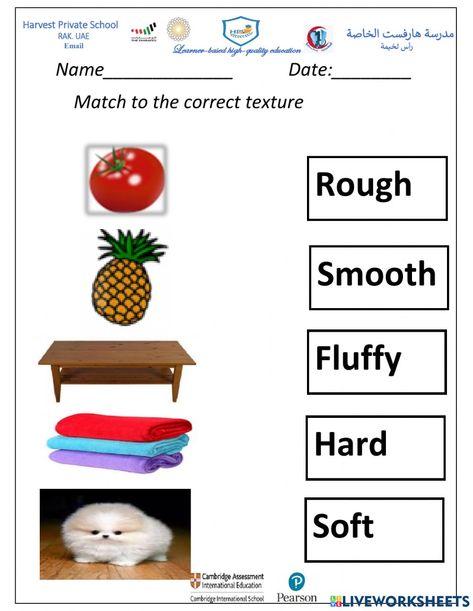 Similar And Different Worksheet, Year 1 Worksheets, Five Senses Worksheet, God Quotes Hard Times, Science Life Cycles, Speech Therapy Worksheets, Quotes Hard Times, Basic English Sentences, Sink Or Float