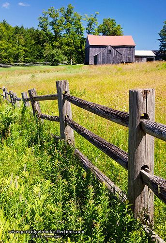 Pasture Fence | Flickr - Photo Sharing! Pasture Fencing, Country Fences, Barn Pictures, Country Barns, Old Fences, 강아지 그림, Farm Fence, Country Scenes, Backyard Fences