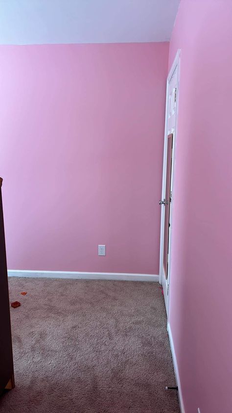 Sherwin Williams: In The Pink Pink Room Paint Ideas, Pink Painted Room, Pink Room Paint, Pink Wall Room, Pink Walls Bedroom, Pink Room Wall, Apartamento New York, Pink Pantone, Colorful Bedroom Design