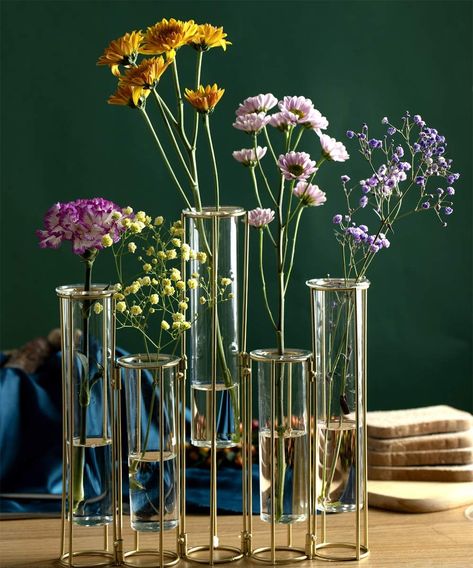 Amazon.com: Bigsee Test Tube Vase for Flowers, Glass Vase with Metal Stand Racks Hydroponic Test Tube Vase Set of 5, Gold Hinged Plant Vases Display Set Table Centerpieces Vase for Home Decor : Home & Kitchen Flowers Glass Vase, Plant Vases, Test Tube Vase, Vase Display, Vase Holder, Vase For Flowers, Plant Vase, Propagating Plants, Vase Centerpieces