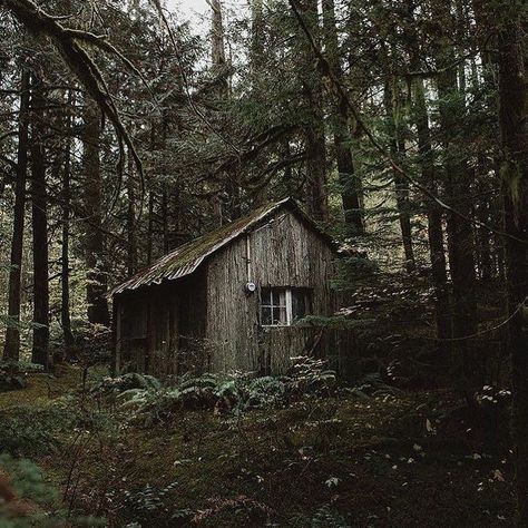 Witch Hut, Cabin Aesthetic, Forest Cottage, Forest Cabin, Survival Camping, Camping Outdoors, Cabin In The Woods, Cabins And Cottages, Cabin Life