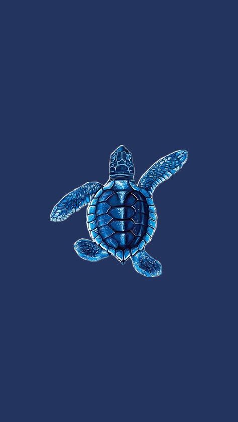 Home Screen Pictures, Sea Turtle Wallpaper, Summer Prints Wallpaper, Iphone Wallpaper Stars, Turtle Wallpaper, Helloween Wallpaper, Macbook Air Wallpaper, Cute Home Screen Wallpaper, Smile Wallpaper