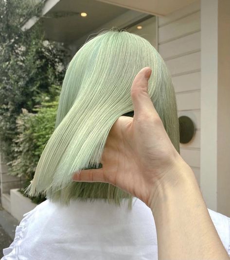 Matcha Green Hair, Pastel Green Hair, Haircut And Color, Matcha Green, Dye My Hair, Hair Reference, Hair Inspiration Color, Hair Inspo Color, Face Hair