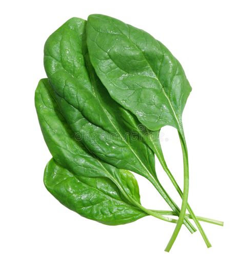 Spinach. Group of spinach leaves isolated on white , #Affiliate, #spinach, #Group, #Spinach, #white, #isolated #ad Growing Spinach, Strawberry Spinach, Eat Pretty, Vegetarian Diet Plan, Iron Rich Foods, Plant Based Lifestyle, Tofu Recipes, Easy Garden, Vegetarian Diet