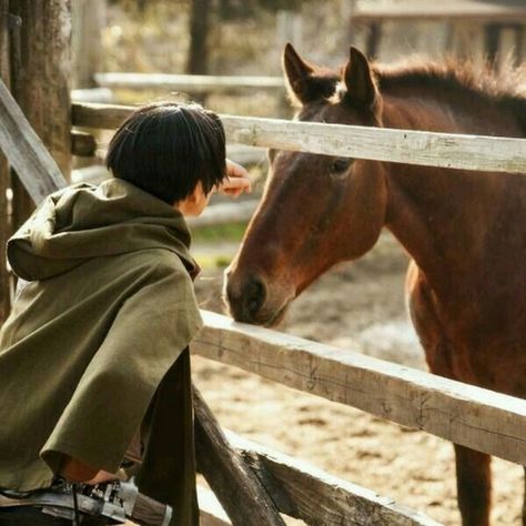 Levi Aesthetic, Levi Ackerman Cosplay, Aot Shifting, Levis Aesthetic, Aot Aesthetic, Levi Aot, Aot Cosplay, Levi Cosplay, Attack On Titan Aesthetic