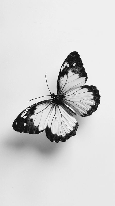 Pretty Black And White Pictures, Butterfly White Aesthetic, Butterfly Realism Tattoo, Black And Gray Butterfly Tattoo, Butterfly Drawing Black And White, White Butterfly Drawing, Tattoos Of Butterflies, Butterfly Tattoo Black And White, Butterfly Illustration Art