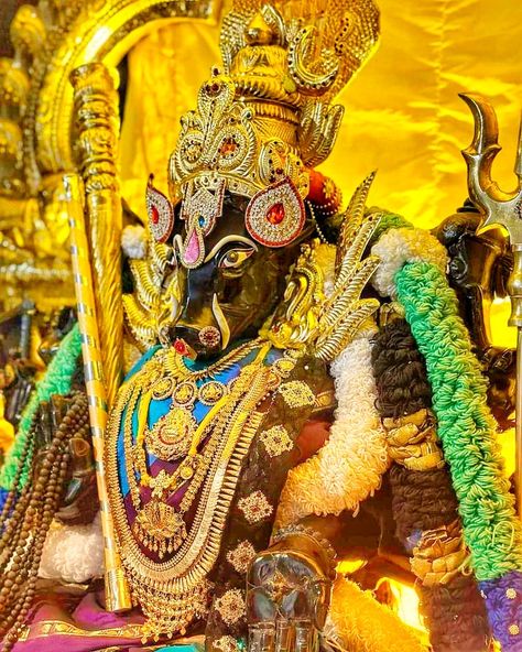 வாராஹி Varahi Ammavari Images, Varahi Amman Images Hd, வராஹி அம்மன், Varahi Amman Images, Varahi Mata, Amman Images, Varahi Devi, Varahi Amman, Hindu Statues Goddesses