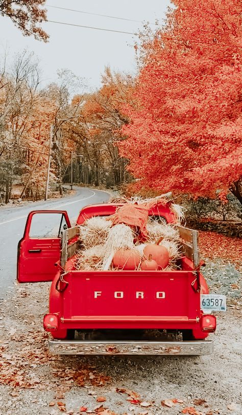 Fall Core, Truck Photography, Cottagecore Life, Fall Backgrounds, Fall Songs, Fall Snacks, Fall Mood, Fall Planters, Fall Background