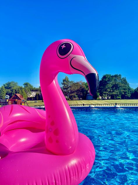 pink flamingo floatie 🥰 #summer #pool Flamingo Floaties, Pool Stuff, Barbie Aesthetic, Coastal Summer, Pink Holiday, Collage Ideas, Im A Barbie Girl, Dream Pools, Pink Beach