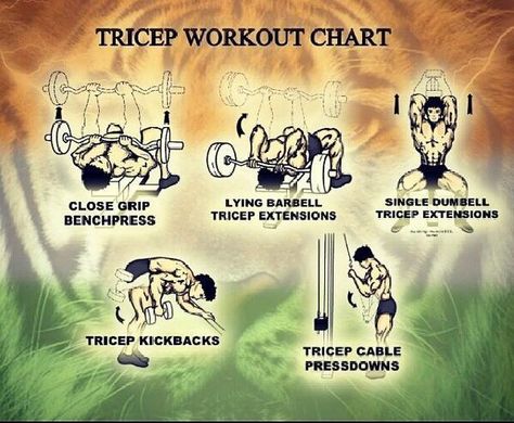 How to get ripped tricep muscles How To Get Ripped, Tricep Workout, Body Building Tips, Tricep Kickback, Tricep Extension, Extreme Workouts, Biceps And Triceps, Get Ripped, Workout Chart