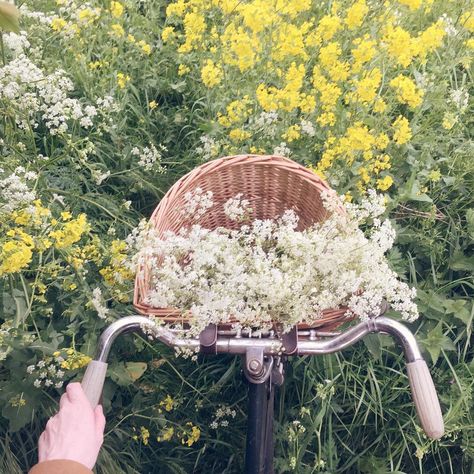 Courtney Core, Courtney Aesthetic, Flower Picking, Basket Flowers, Bike Basket, No Rain, + Core + Aesthetic, Anne Of Green Gables, Green Gables