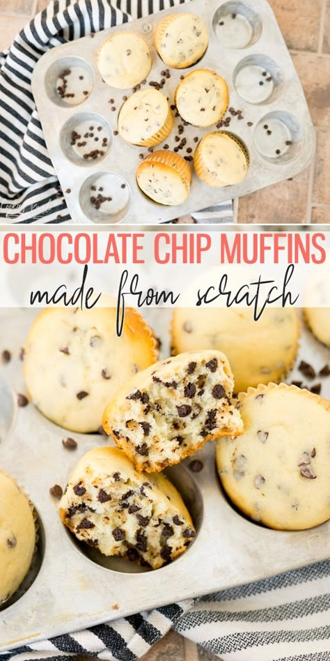 Easy Chocolate Chip Muffins Simple, Soft Chocolate Chip Muffins, How To Make Homemade Chocolate Chip Muffins, Baked Goods From Scratch, Easy Moist Muffins, Baking Beginner, Home Made Chocolate Chip Muffins, Simple Chocolate Chip Muffin Recipe, Muffins From Scratch Easy