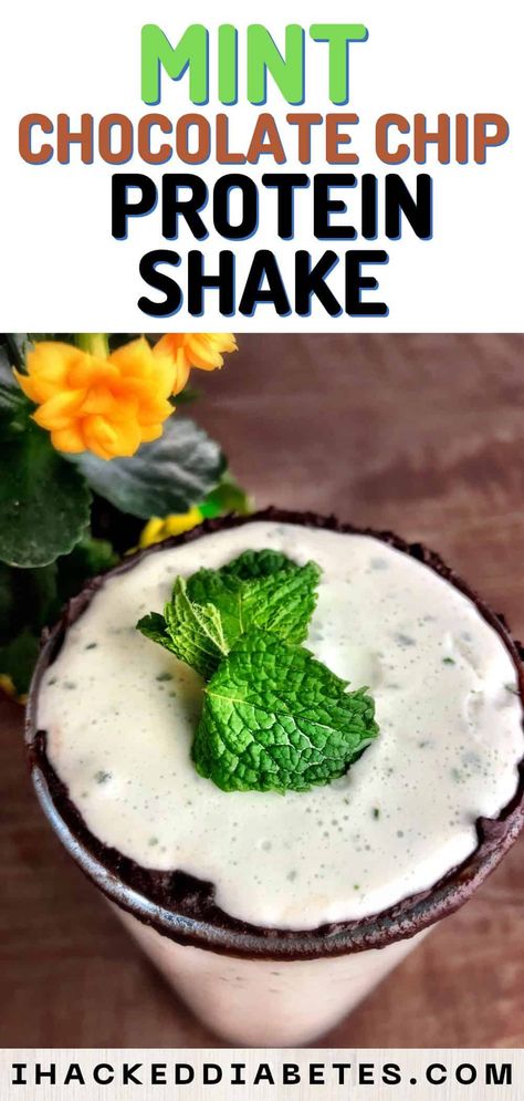 Mint Chocolate Chip Protein Shake, Chocolate Chip Protein Shake, Sugar Free Protein Shakes, Mint Protein Shake, Chocolate Mint Smoothie, High Protein Shakes, High Protein Plant Based, Sugar Free Dessert Recipes, Clean Eating Protein