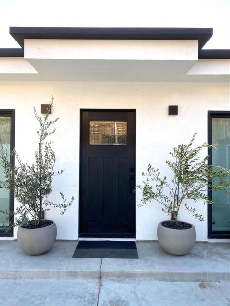 Olive Tree Outside Front Door, Olive Trees Front Door, Faux Olive Tree Front Porch, Olive Trees In Pots Front Door, Olive Tree Front Door, Front Entrance Plants, Potted Olive Tree Outdoor, Entryway Planters Front Entry, Olive Tree Landscape Front Yards