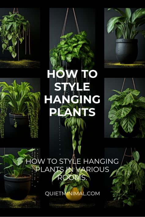 Create or buy frames that hold pots and hang them on the wall. How To Style Hanging Plants, Hanging Plants Indoor Aesthetic, Living Room With Hanging Plants, Wall Hanging Plants Indoor Living Rooms, Hanging Plants Pots, How To Decorate Your Home With Plants, Hanging Pot Plants Indoor, Indoor Plant Hanger Ideas, Hanging Plants Living Room Decor