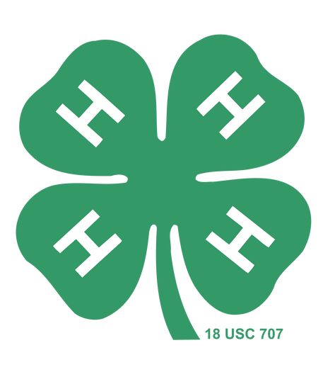 4 H Clover, 4 H Club, Youth Programs, H Logos, Programming For Kids, County Fair, Hands On Learning, University Of Florida, State Fair