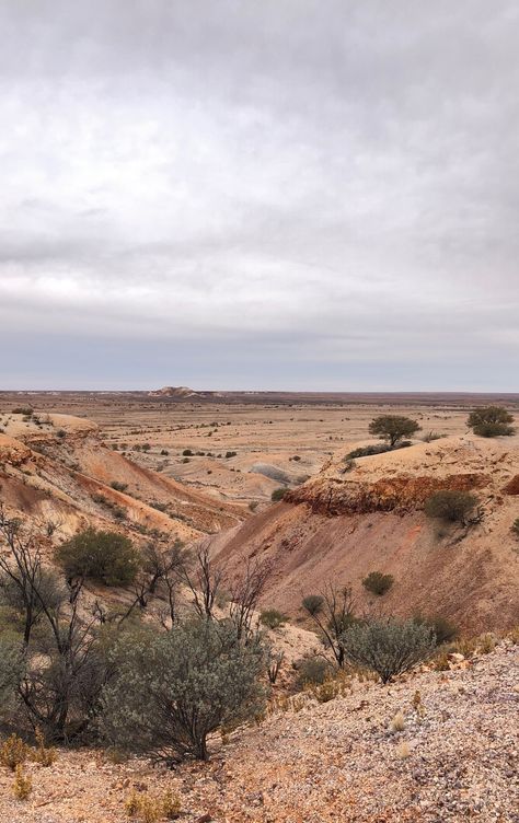 Australia Desert, Rural Photography, Australian Desert, Australia Landscape, Desert Land, Deserts Of The World, Desert House, Dry Desert, Painted Desert