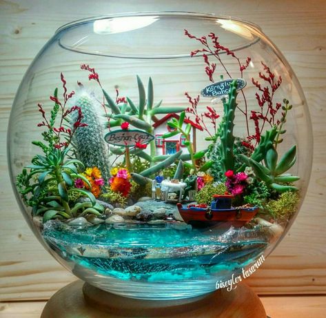 Succulent and cactus lakeside terrarium Mermaid Garden, Beach Fairy Garden, Cactus Terrarium, Beautiful Terrariums, Hanging Terrarium, Mini Terrarium, Fairies Garden, Terrarium Containers, Fairy Garden Designs